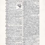 Vintage Dictionary Web 304