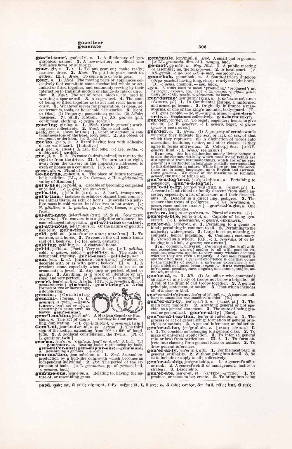 Vintage Dictionary Web 306