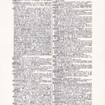 Vintage Dictionary Web 325