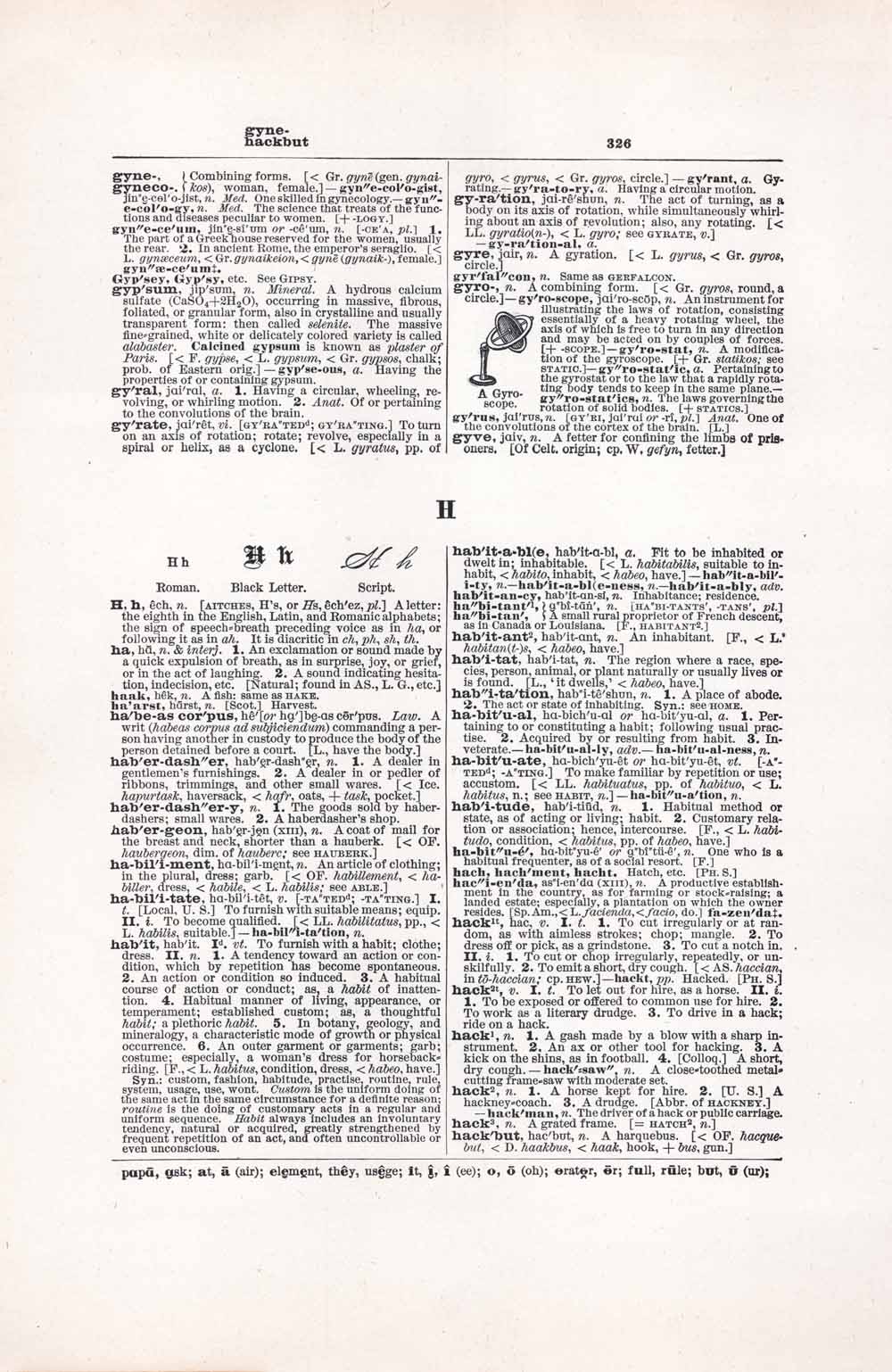 Vintage Dictionary Web 326