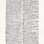 Vintage Dictionary Web 328
