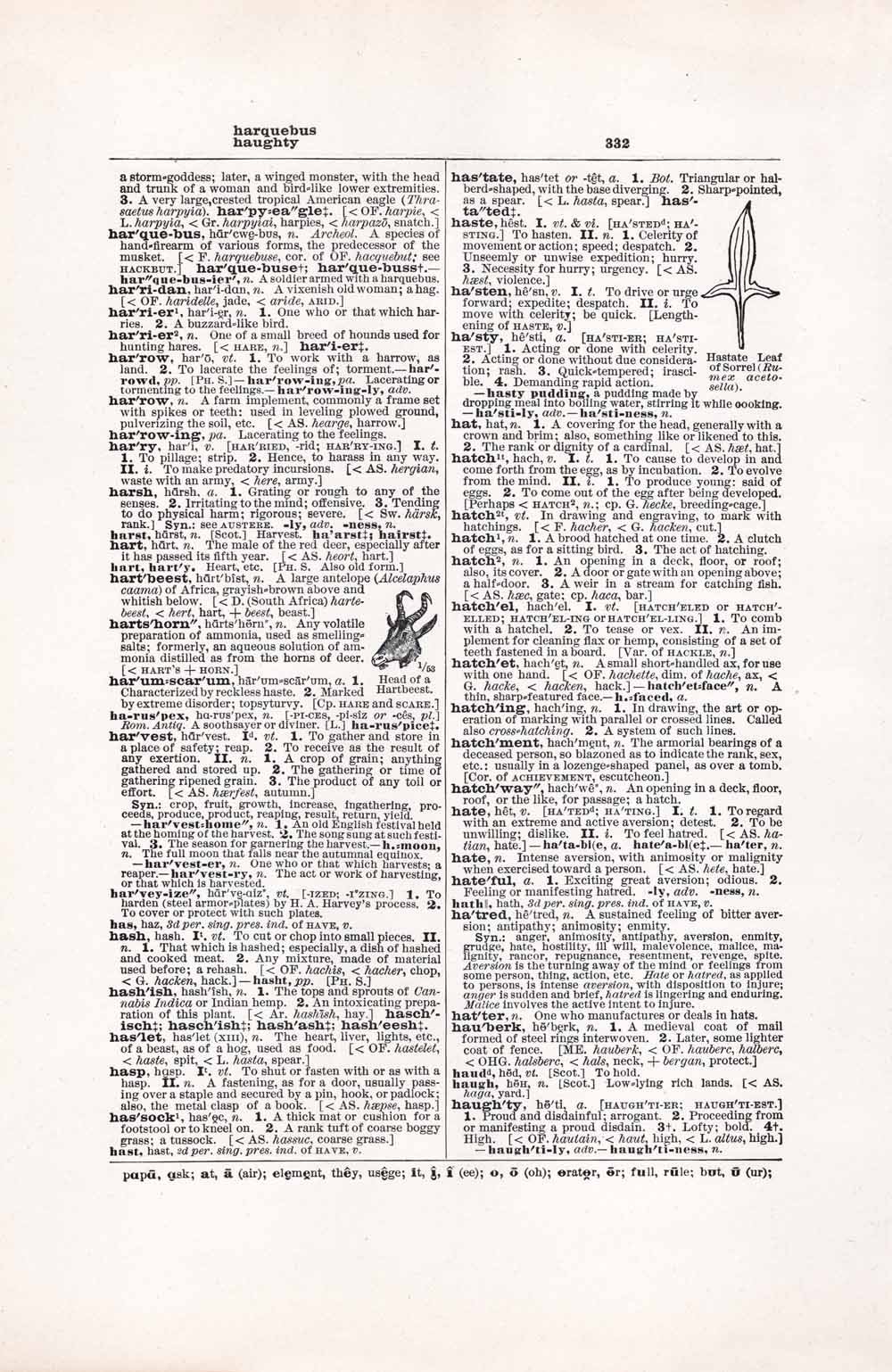 Vintage Dictionary Web 332