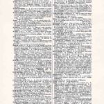 Vintage Dictionary Web 356