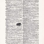 Vintage Dictionary Web 357