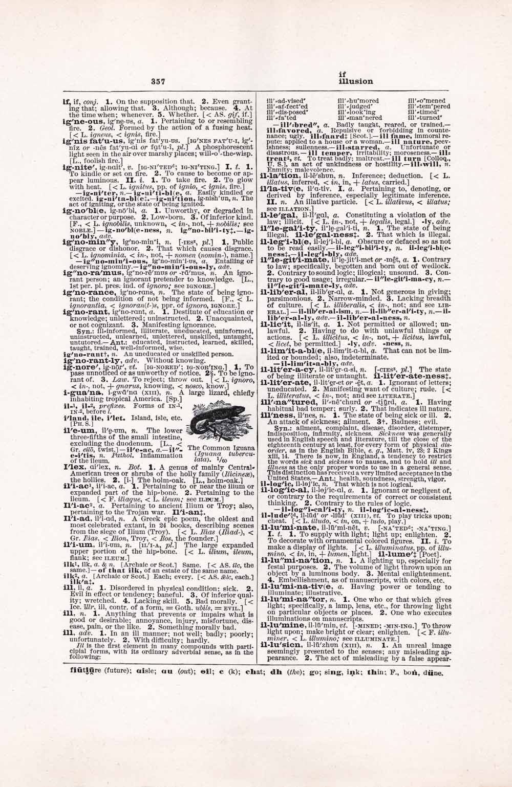 Vintage Dictionary Web 357