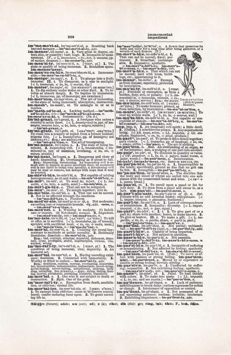 Vintage Dictionary Page Letter I, Page 359