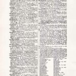 Vintage Dictionary Web 362