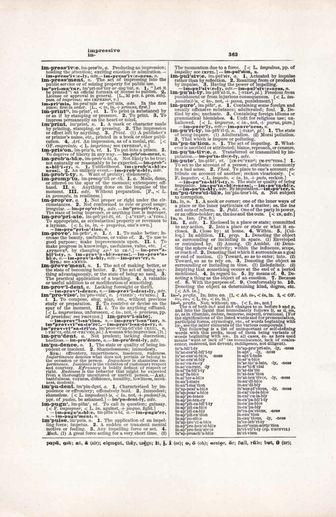 Vintage Dictionary Web 362