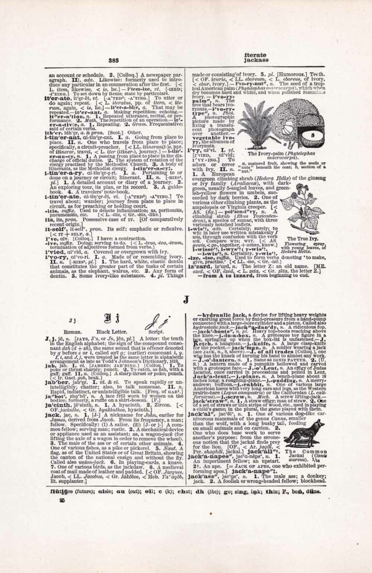 Vintage Dictionary Page Letter I-J, Page 385