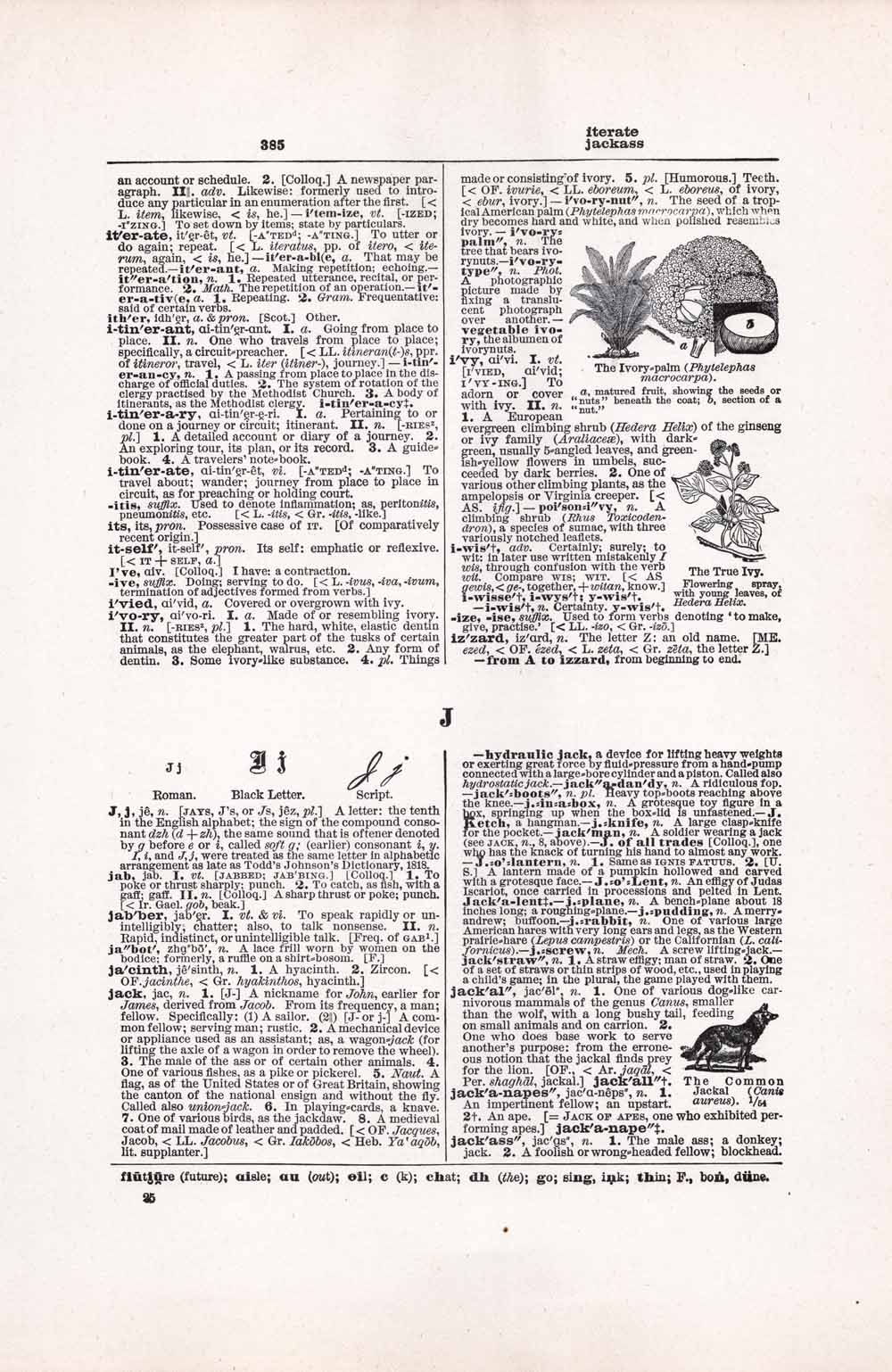 Vintage Dictionary Web 385