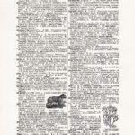 Vintage Dictionary Web 386
