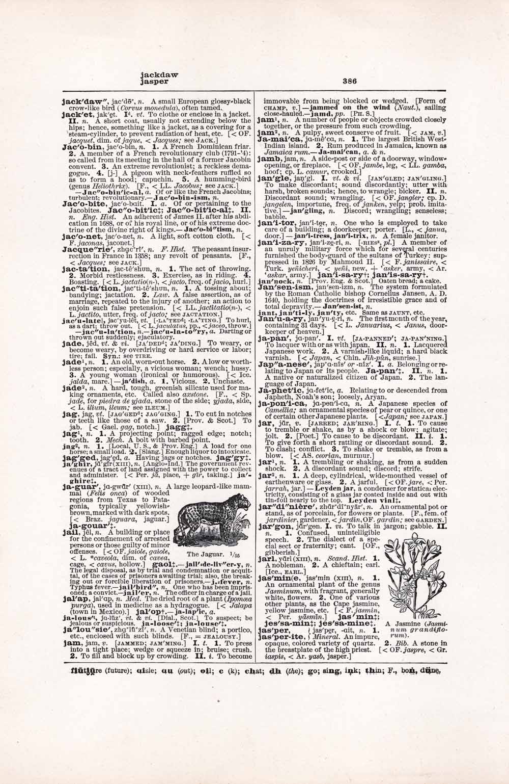 Vintage Dictionary Web 386