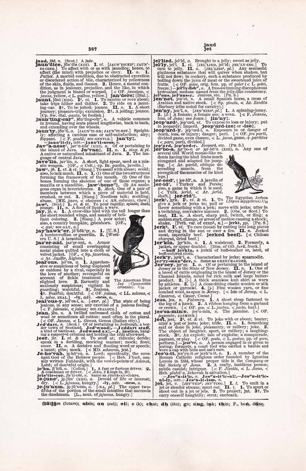 Vintage Dictionary Web 387