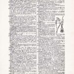 Vintage Dictionary Web 389