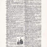 Vintage Dictionary Web 391
