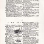 Vintage Dictionary Web 392