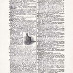Vintage Dictionary Web 393