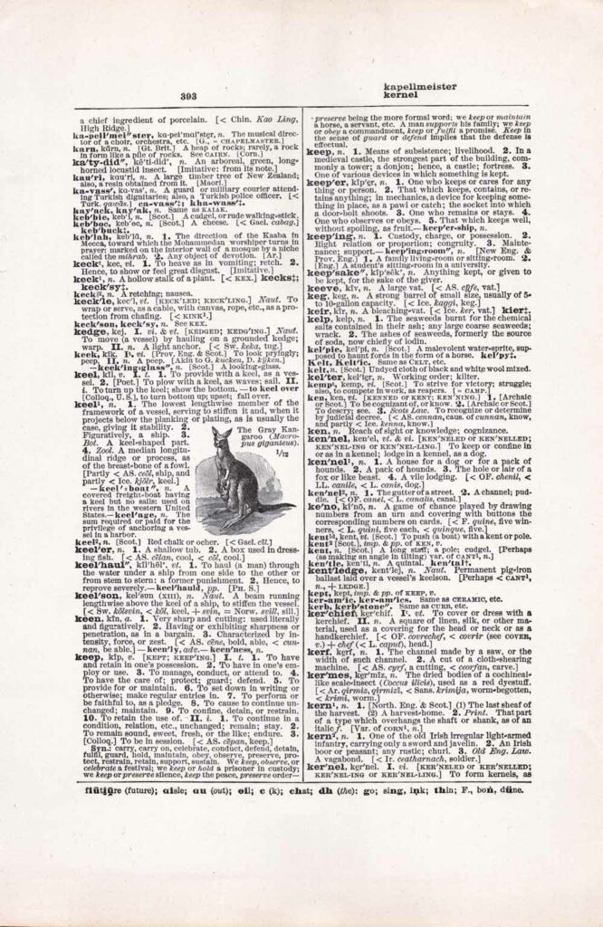 Vintage Dictionary Web 393