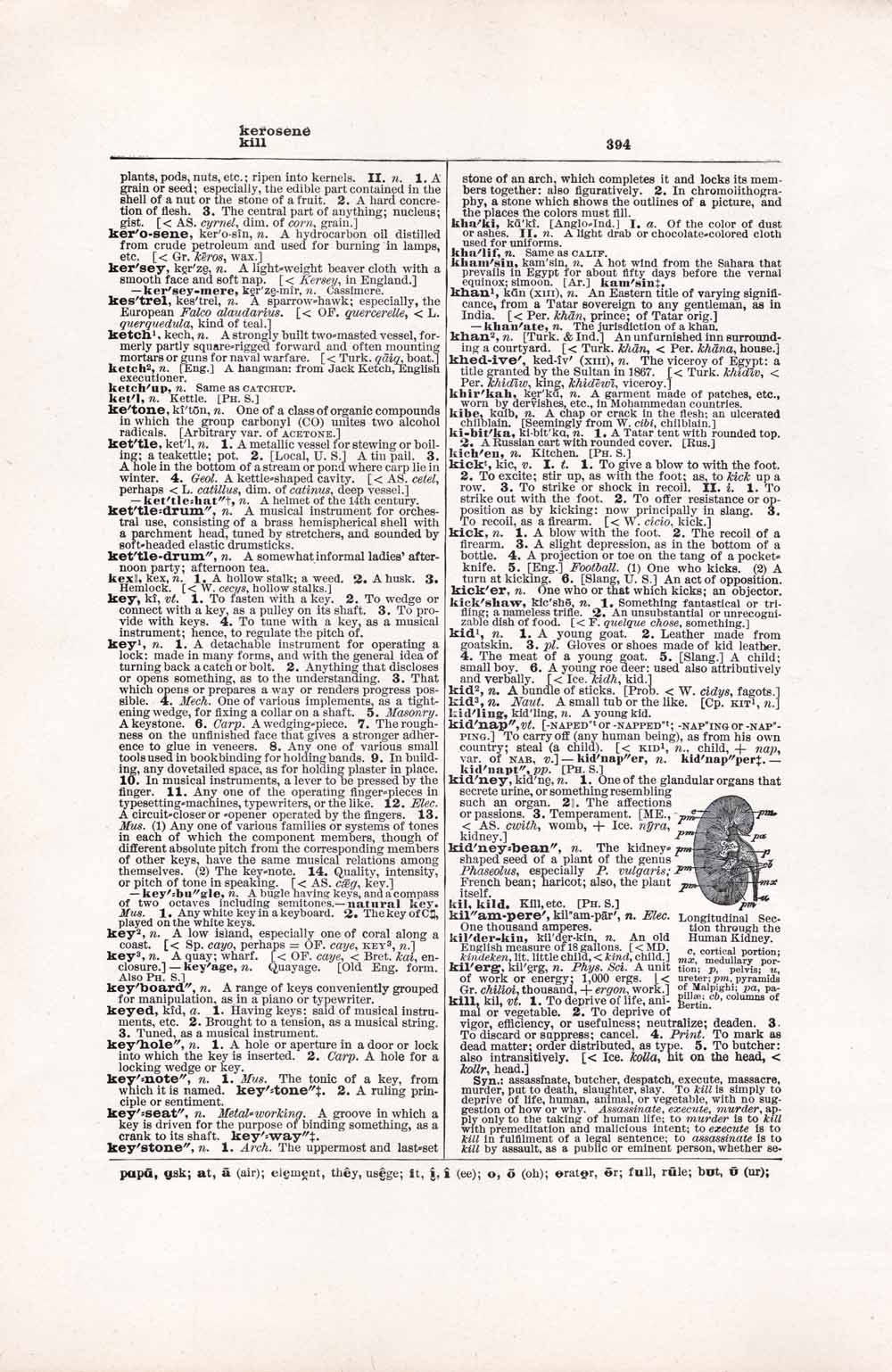 Vintage Dictionary Web 394