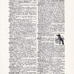 Vintage Dictionary Web 395