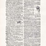 Vintage Dictionary Web 396
