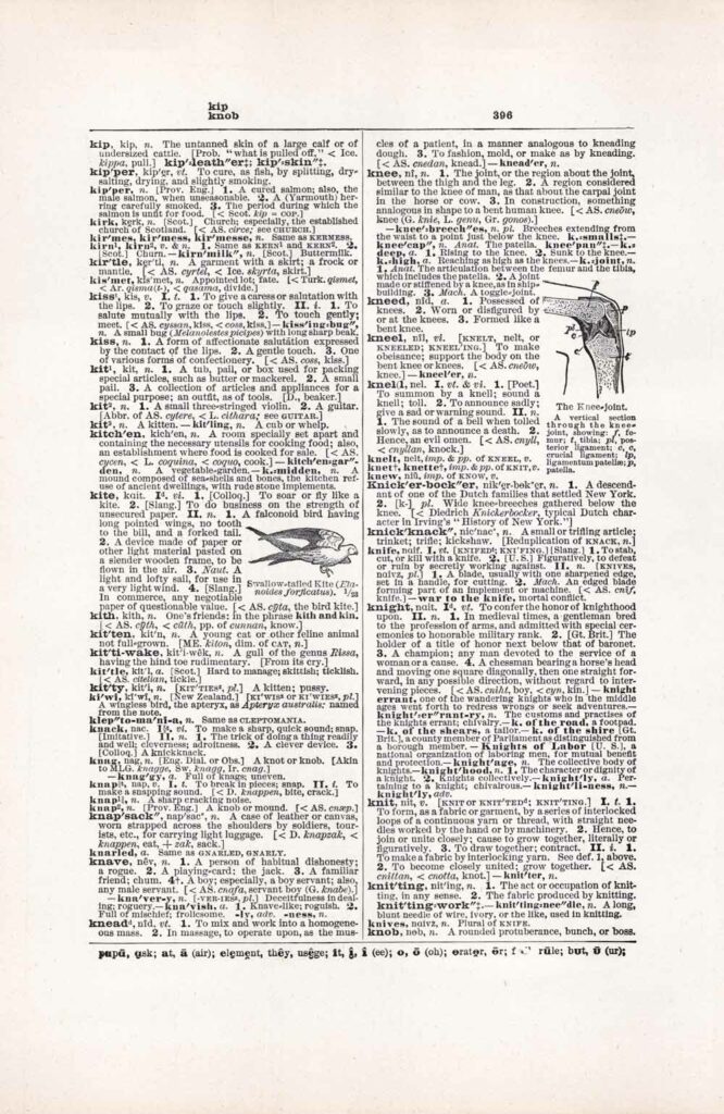 Vintage Dictionary Web 396