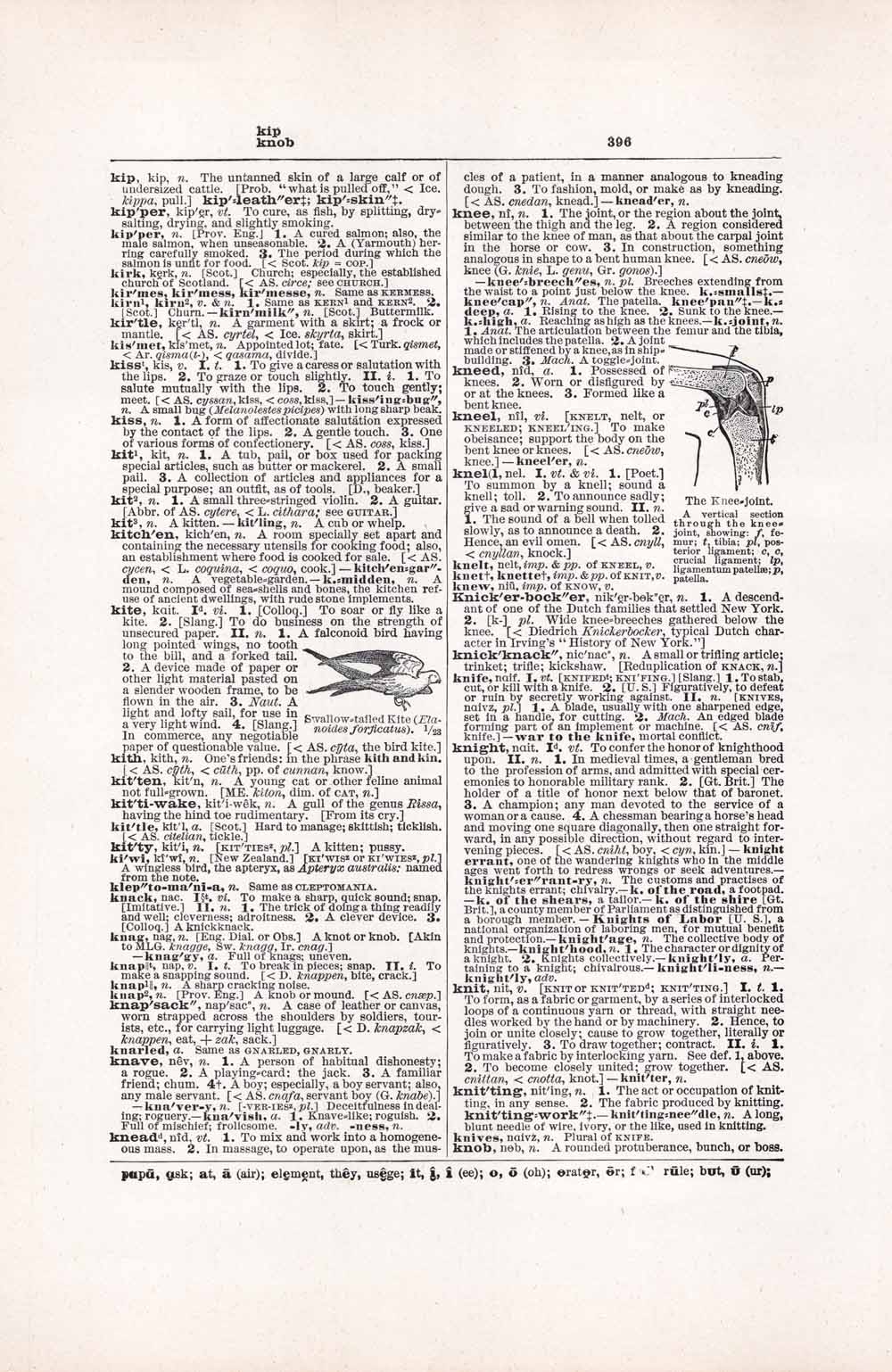 Vintage Dictionary Web 396