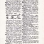 Vintage Dictionary Web 397
