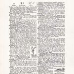 Vintage Dictionary Web 398