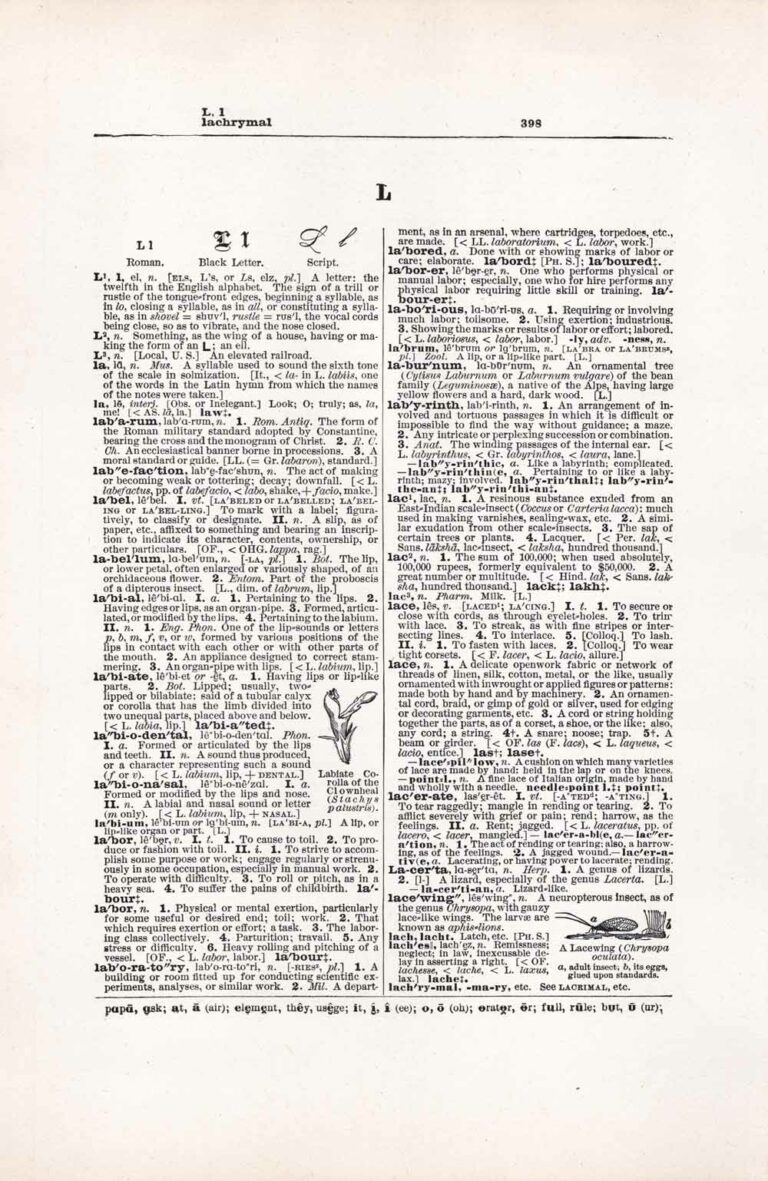 Vintage Dictionary Page Letter L, Page 398