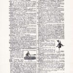 Vintage Dictionary Web 399
