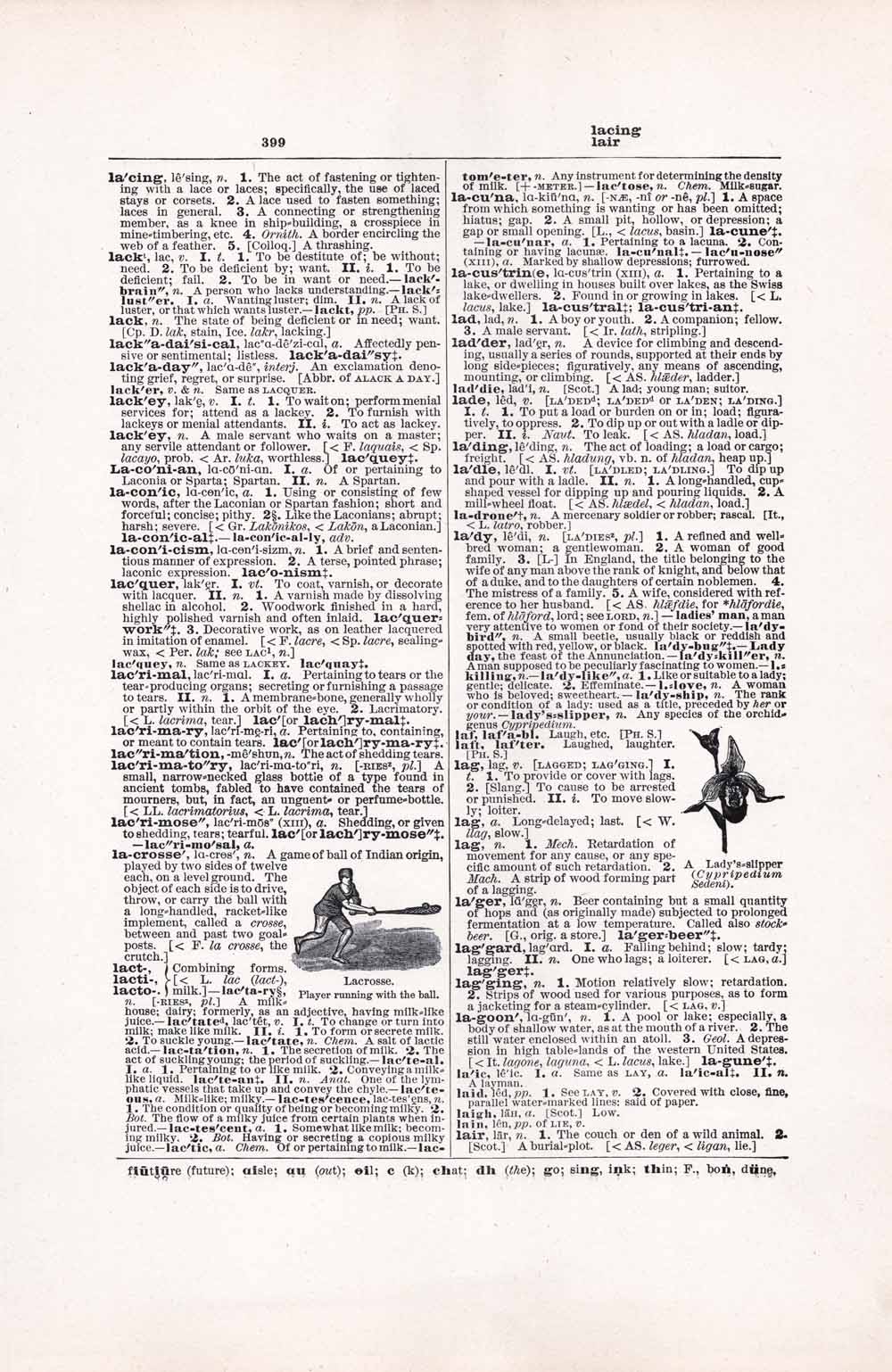 Vintage Dictionary Web 399