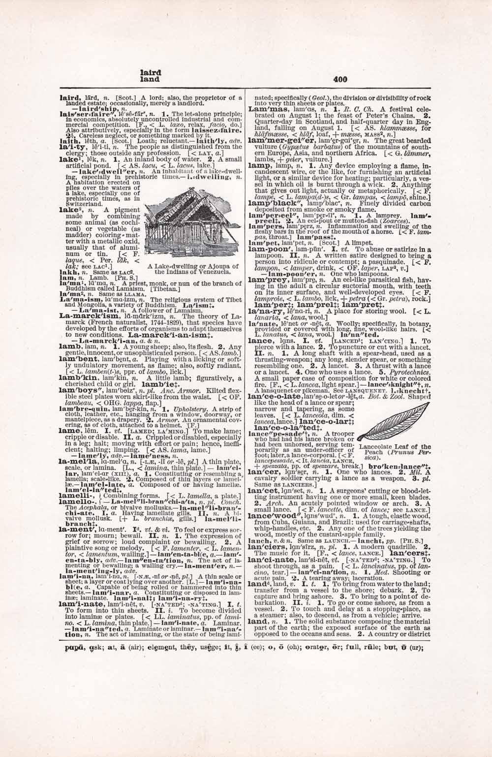 Vintage Dictionary Web 400