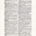 Vintage Dictionary Web 402