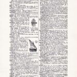 Vintage Dictionary Web 403