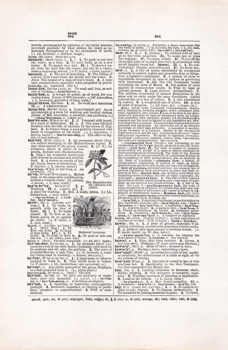 Vintage Dictionary Page Letter L, Page 404