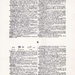 Vintage Dictionary Web 423