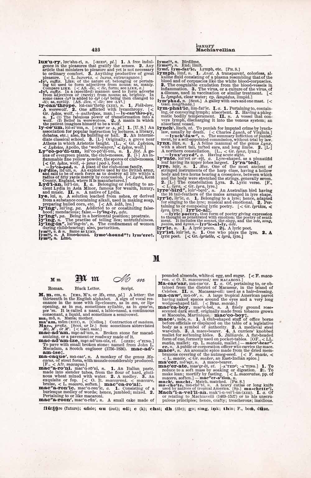 Vintage Dictionary Web 423