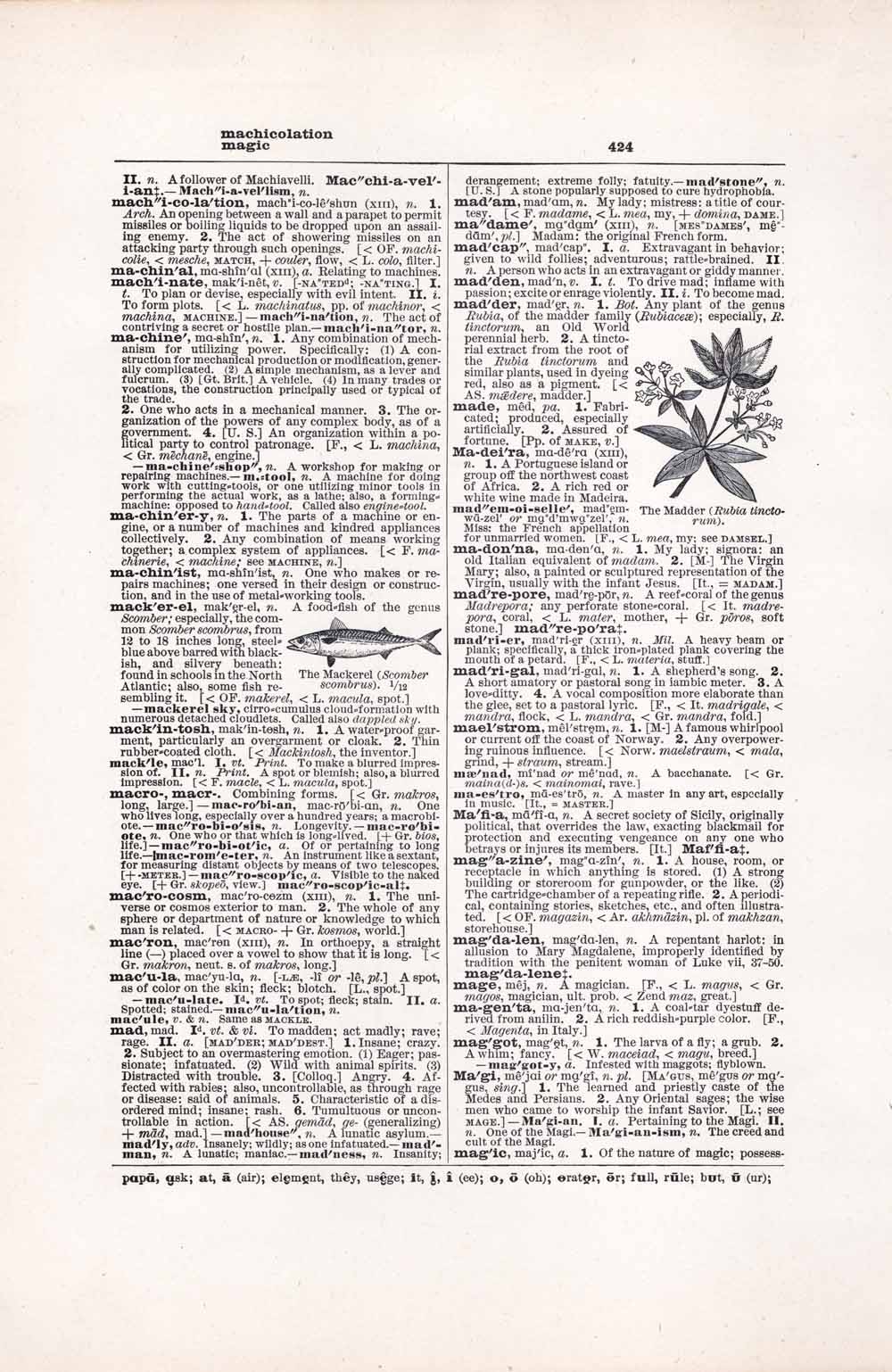 Vintage Dictionary Web 424