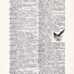 Vintage Dictionary Web 425