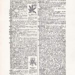 Vintage Dictionary Web 426