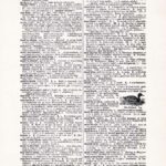 Vintage Dictionary Web 427