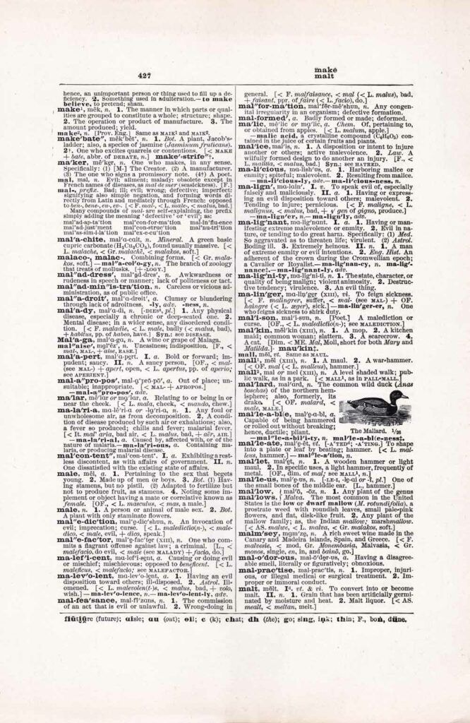 Vintage Dictionary Web 427