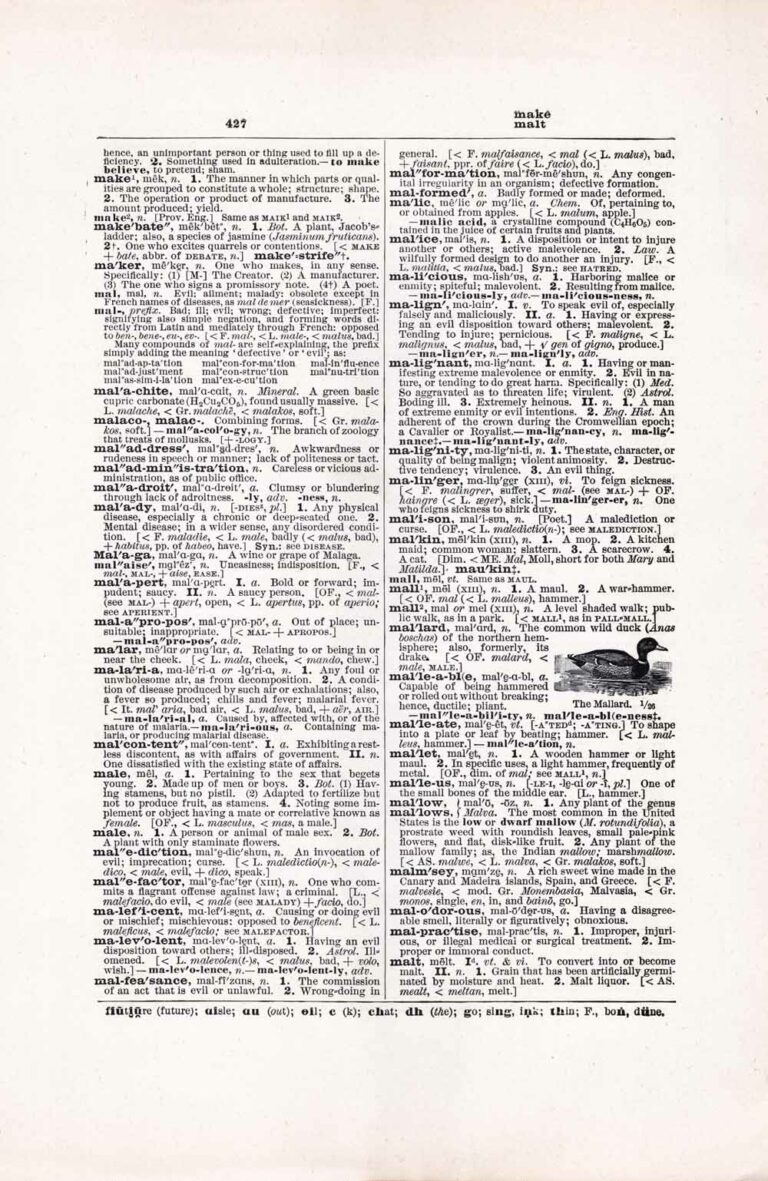 Vintage Dictionary Page Letter M, Page 427