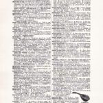 Vintage Dictionary Web 428