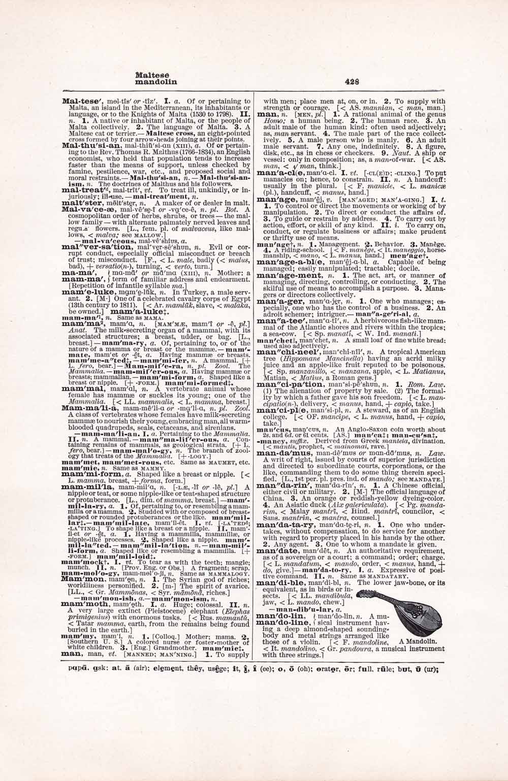 Vintage Dictionary Web 428