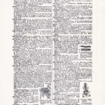 Vintage Dictionary Web 463