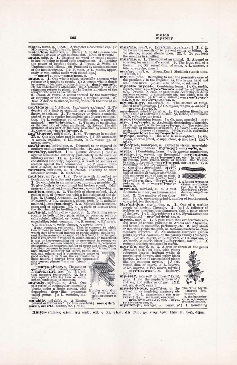 Vintage Dictionary Page Letter M, Page 463