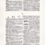 Vintage Dictionary Web 464