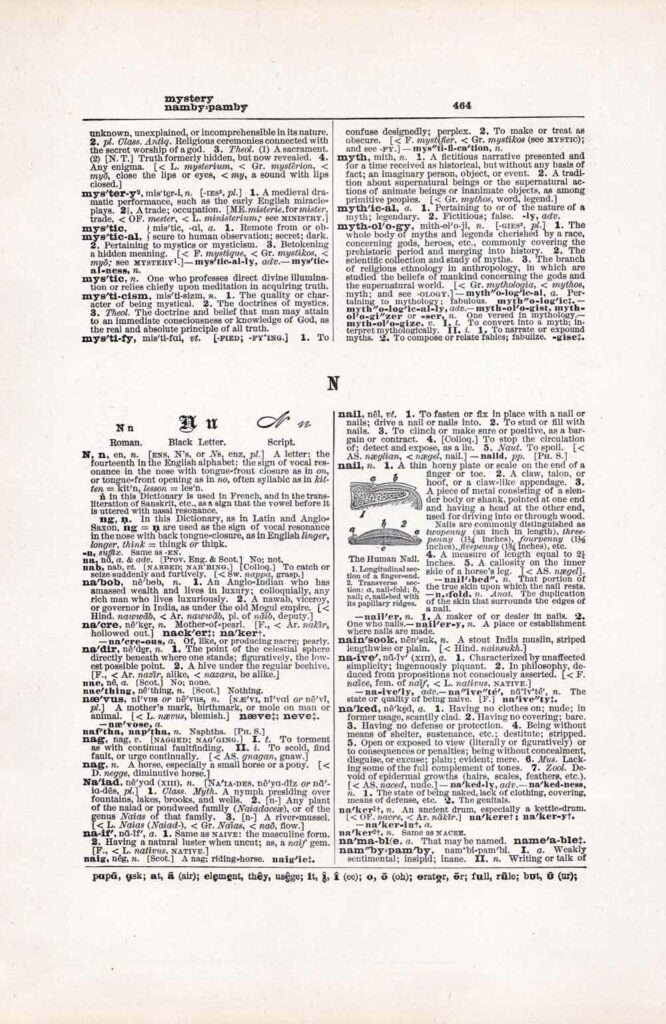 Vintage Dictionary Web 464